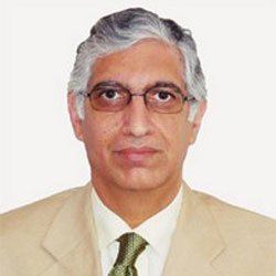 Mr. F. N. Subedar (Vice Chairman)